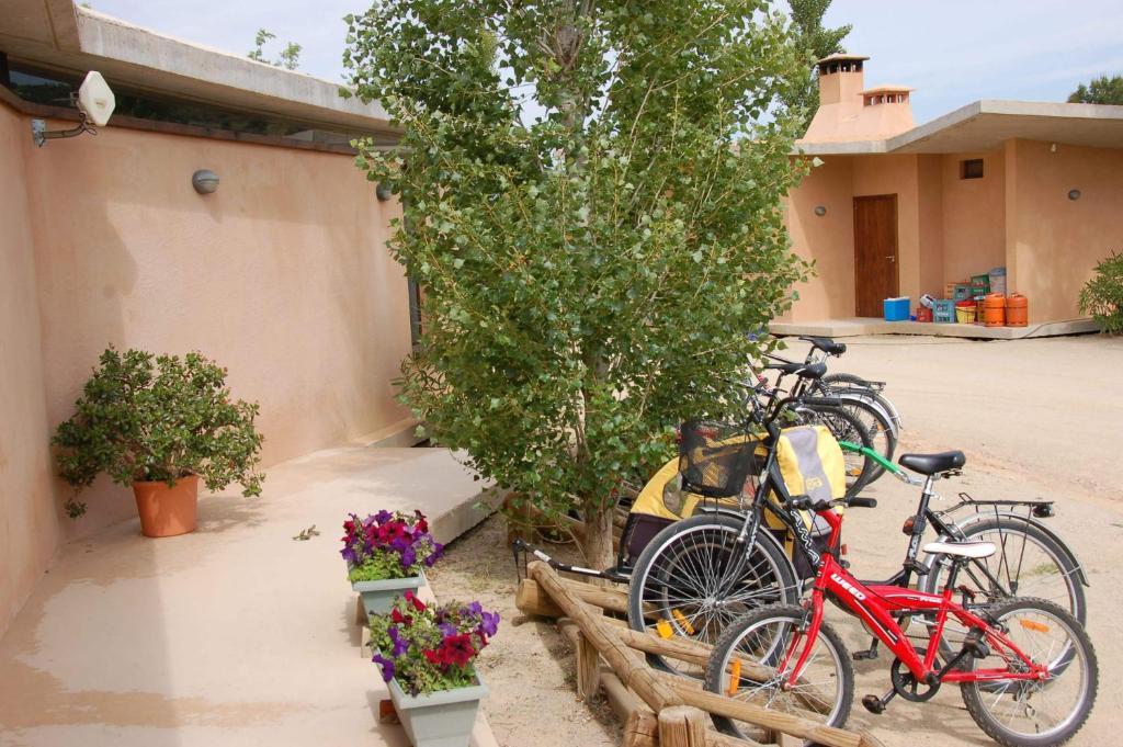 Camping Terra Alta Bot Exterior photo